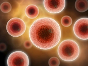 Biomedical Illustrations Prints: Microscopic view of cell