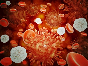 Microscopic view of H5N1 virus with red blood cells and white blood cells Microscopic view of H5N1 virus with red blood cells and white blood cells