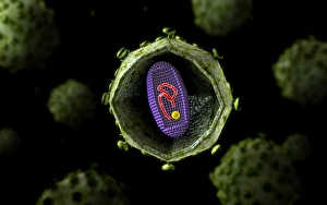 Microscopic view of HIV virus, cross section Microscopic view of HIV virus, cross section