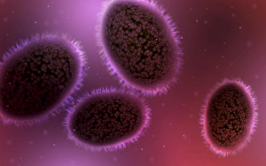 Smallpox Virus Prints: Microscopic view of samllpox