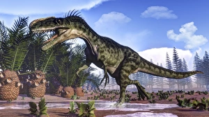 A Monolophosaurus dinosaur walking amongst cycas and calamites A Monolophosaurus dinosaur walking amongst cycas and calamites