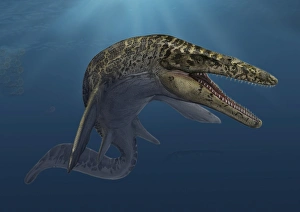 Mosasaurus hoffmanni swimming in prehistoric waters Mosasaurus hoffmanni swimming in prehistoric waters