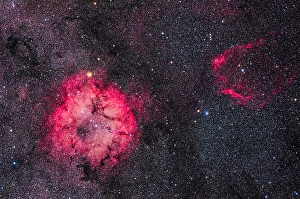 Cepheus Constellation Prints: Nebulosity in Cepheus