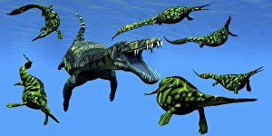 A Nothosaurus marine reptile attacks a pod of Hupehsuchus dinosaurs A Nothosaurus marine reptile attacks a pod of Hupehsuchus dinosaurs