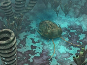 An Olenoides trilobite scurries across a Middle Cambrian ocean floor An Olenoides trilobite scurries across a Middle Cambrian ocean floor
