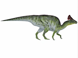Olorotitan, a duckbilled dinosaur from the Cretaceous Period Olorotitan, a duckbilled dinosaur from the Cretaceous Period