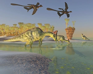 Olorotitan eat duckweed in a large swamp as two Microraptors fly above Olorotitan eat duckweed in a large swamp as two Microraptors fly above