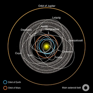 Space Illustration Artwork Prints: Orbits of Earth-Crossing Asteroids
