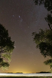 The Orion constellation between trees, Buenos Aires, Argentina The Orion constellation between trees, Buenos Aires, Argentina