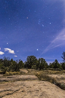 Orion and Sirius rising in the moonlight over Gila National Forest, New Mexico Orion and Sirius rising in the moonlight over Gila National Forest, New Mexico
