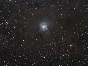 Reflection Nebula Prints: The Iris Nebula