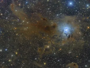 Star Formation Process Prints: The Iris Nebula in the constellation Cepheus