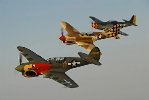 Two P-40 Warhawks and a P-51D Mustang flying over Chino, California Two P-40 Warhawks and a P-51D Mustang flying over Chino, California