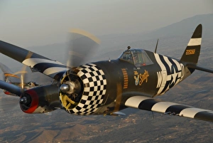 P-47 Thunderbolt flying over Chino, California P-47 Thunderbolt flying over Chino, California