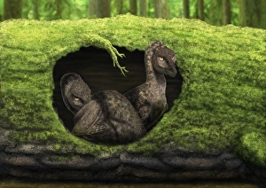 A pair of juvenile troodons in the hollow of a tree A pair of juvenile troodons in the hollow of a tree