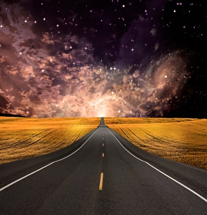 Rural Road Scenery Prints: Path vanishes in background