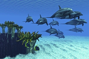 Two pennant fish scamper away from a pod of striped dolphins Two pennant fish scamper away from a pod of striped dolphins