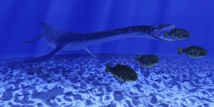 A Plesiosaurus marine reptile attacks a school of Dapedius fish A Plesiosaurus marine reptile attacks a school of Dapedius fish