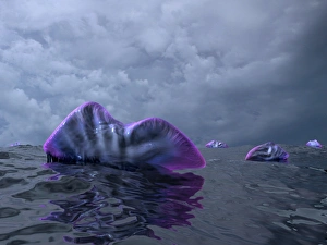 Portuguese Man o War swarm over the surface of a Cambrian ocean Portuguese Man o War swarm over the surface of a Cambrian ocean