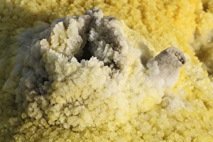 Potassium salt deposits, Dallol geothermal area, Danakil Depression, Ethiopia Potassium salt deposits, Dallol geothermal area, Danakil Depression, Ethiopia