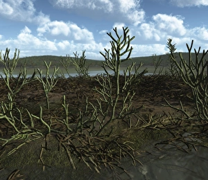 Prehistoric landscape of Silu-Devonian land plants with branching axes Prehistoric landscape of Silu-Devonian land plants with branching axes