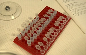 Biomedical Science Images Prints: Rack of test tubes