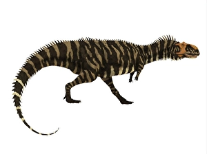 Fierce Prehistoric Creatures Prints: Rajasaurus dinosaur, side profile