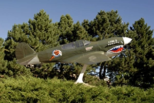 A replica of the Curtiss P-40E Warhawk A replica of the Curtiss P-40E Warhawk
