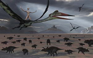 Reptoids ride on the backs of Quetzalcoatlus using telepathy Reptoids ride on the backs of Quetzalcoatlus using telepathy