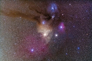 Star Formation Process Prints: Rho Ophiuchi cloud complex