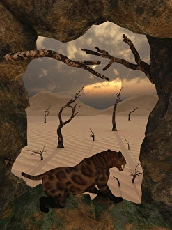 A Sabre Tooth Tiger stands in the entrance to a cave A Sabre Tooth Tiger stands in the entrance to a cave
