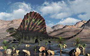 A sail-backed Dimetrodon from Earths Permian period of time A sail-backed Dimetrodon from Earths Permian period of time