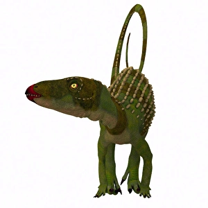 Prehistoric Creature Prints: Scutellosaurus dinosaur, front view