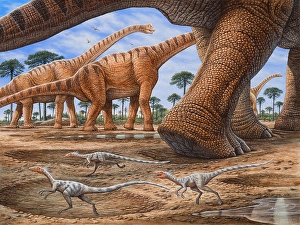 Sauropod Dinosaurs Prints: Small Compsognathus dinosaurs try to avoid getting trampled by a passing Brachiosaurus herd