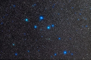 Delphinus Constellation Prints: The small constellation of Delphinus