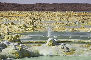 Small geyser amongst potassium salt deposits, Dallol geothermal area, Danakil Depression Small geyser amongst potassium salt deposits, Dallol geothermal area, Danakil Depression
