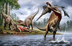 Spinosaurus hunting an Onchopristis with a pair of Carcharodontosaurus in background Spinosaurus hunting an Onchopristis with a pair of Carcharodontosaurus in background