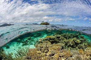 Coral Reef Fiji Prints: Split level scene with a coral reef below