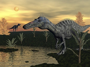 Suchomimus dinosaurs walking next to pond at sunset Suchomimus dinosaurs walking next to pond at sunset