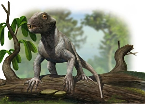A Suminia getmanovi in a prehistoric environment A Suminia getmanovi in a prehistoric environment