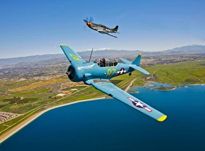 A T-6 Texan and P-51D Mustang in flight over Chino, California A T-6 Texan and P-51D Mustang in flight over Chino, California