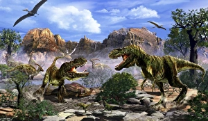 Two T-Rex dinosaurs fighting over a dead carcass Two T-Rex dinosaurs fighting over a dead carcass