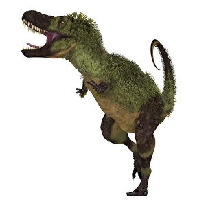 Feathered Dinosaurs Prints: Tarbosaurus dinosaur, front view on white background