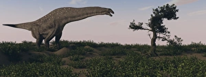 Titanosaurus standing grazing in swamp grassland Titanosaurus standing grazing in swamp grassland