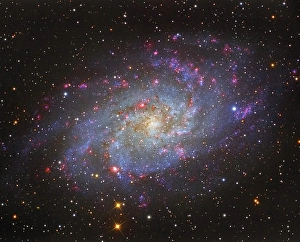 Star Formation Process Prints: The Triangulum Galaxy