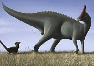 Tsintaosaurus spinorhinus and its offspring in an open field Tsintaosaurus spinorhinus and its offspring in an open field