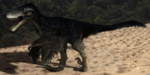 Cretaceous Era Animals Prints: Utahraptor