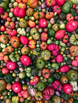 Colorful Vegetable Arrangement Prints: Various types of heirloom tomatoes