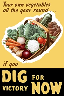 Vintage World War II poster of a basket filled with fresh vegetables Vintage World War II poster of a basket filled with fresh vegetables