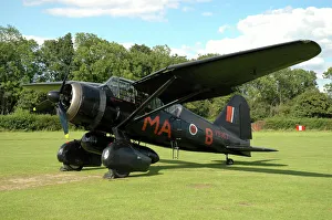 Westland Lysander warbird in World War II Royal Air Force colors Westland Lysander warbird in World War II Royal Air Force colors